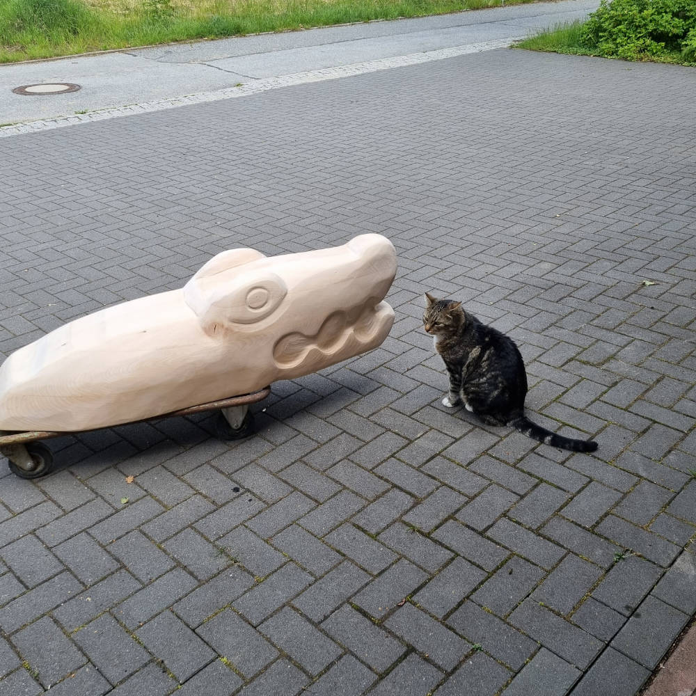Unbemalte Krokodilskulptur aus Holz in einer Einfahrt mit einer Katze daneben.